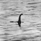 Illustration for article titled The very weirdest theories about the Loch Ness Monster